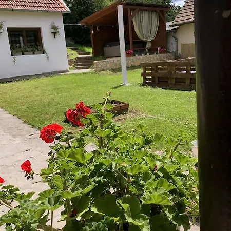 Casa de hóspedes Augustine's Vendeghaz Szálka